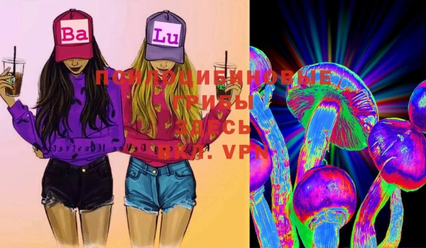 ГАЛЛЮЦИНОГЕННЫЕ ГРИБЫ Майский