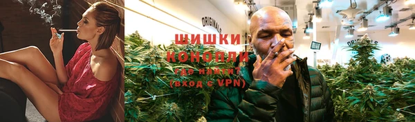 ГАЛЛЮЦИНОГЕННЫЕ ГРИБЫ Майский