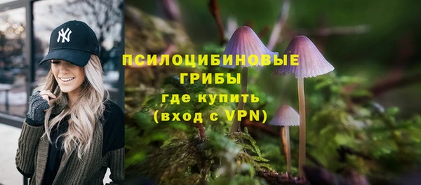тгк Магадан