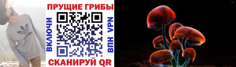 Галлюциногенные грибы Cubensis Емва
